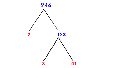 write out the prime factorization of 246